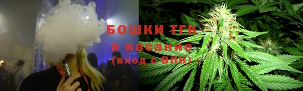 прущий лед Арсеньев