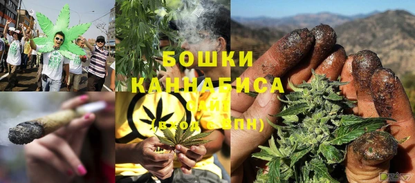 ГАЛЛЮЦИНОГЕННЫЕ ГРИБЫ Аркадак
