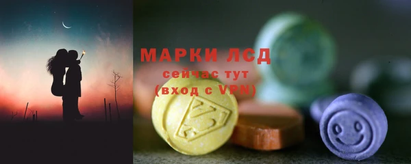 ГАЛЛЮЦИНОГЕННЫЕ ГРИБЫ Аркадак