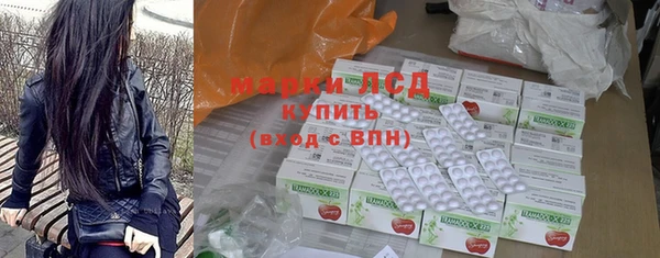 ГАЛЛЮЦИНОГЕННЫЕ ГРИБЫ Аркадак